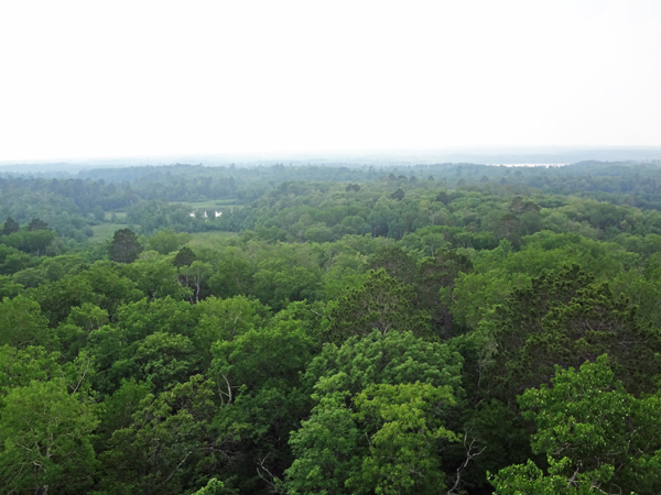 view from The top of the Aiton Heights Fire Tower 
